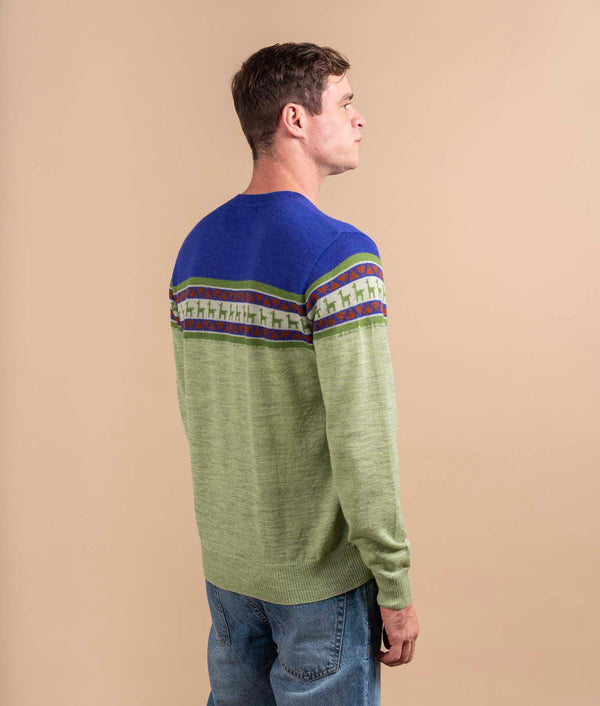 Chompa De Cuello Redondo - Verde Lima Y Azul Cobalto