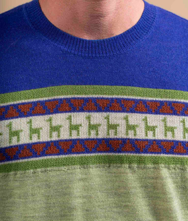 Chompa De Cuello Redondo - Verde Lima Y Azul Cobalto