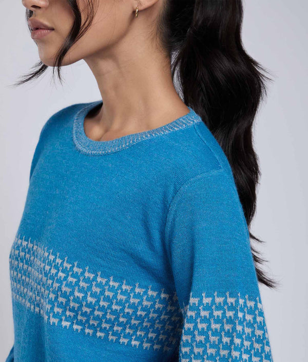 Chompa Reversible Going Places