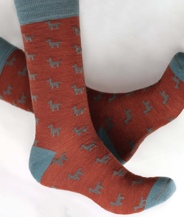 Medias Hombre Llamas Caminantes - Rojo ladrillo