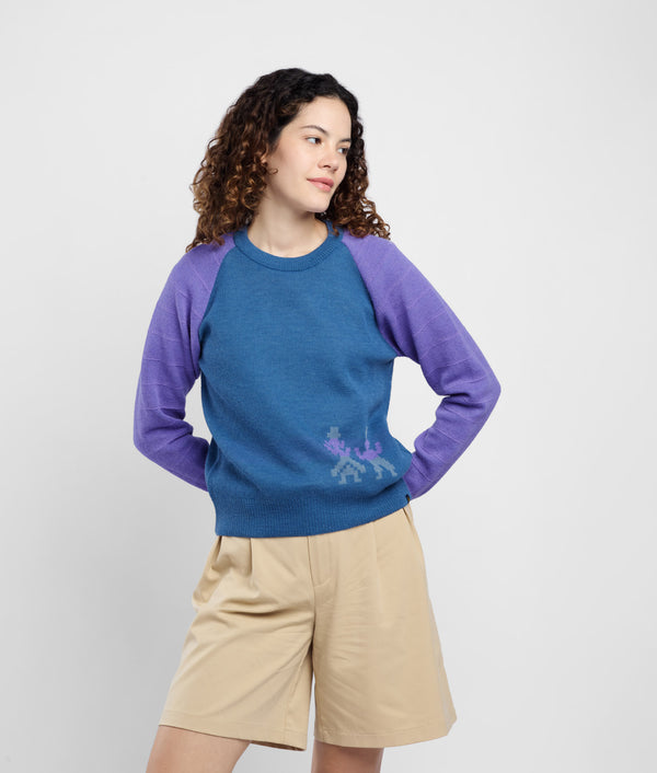 Chompa Jacquard y Texturas