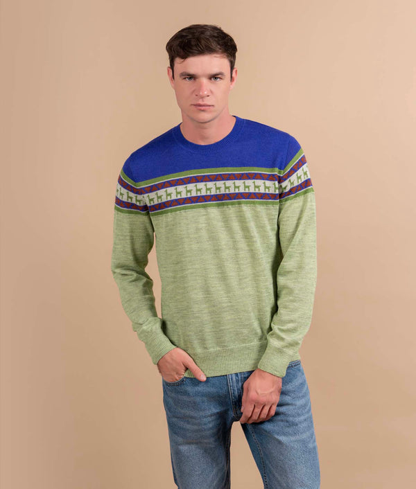 Chompa De Cuello Redondo - Verde Lima Y Azul Cobalto